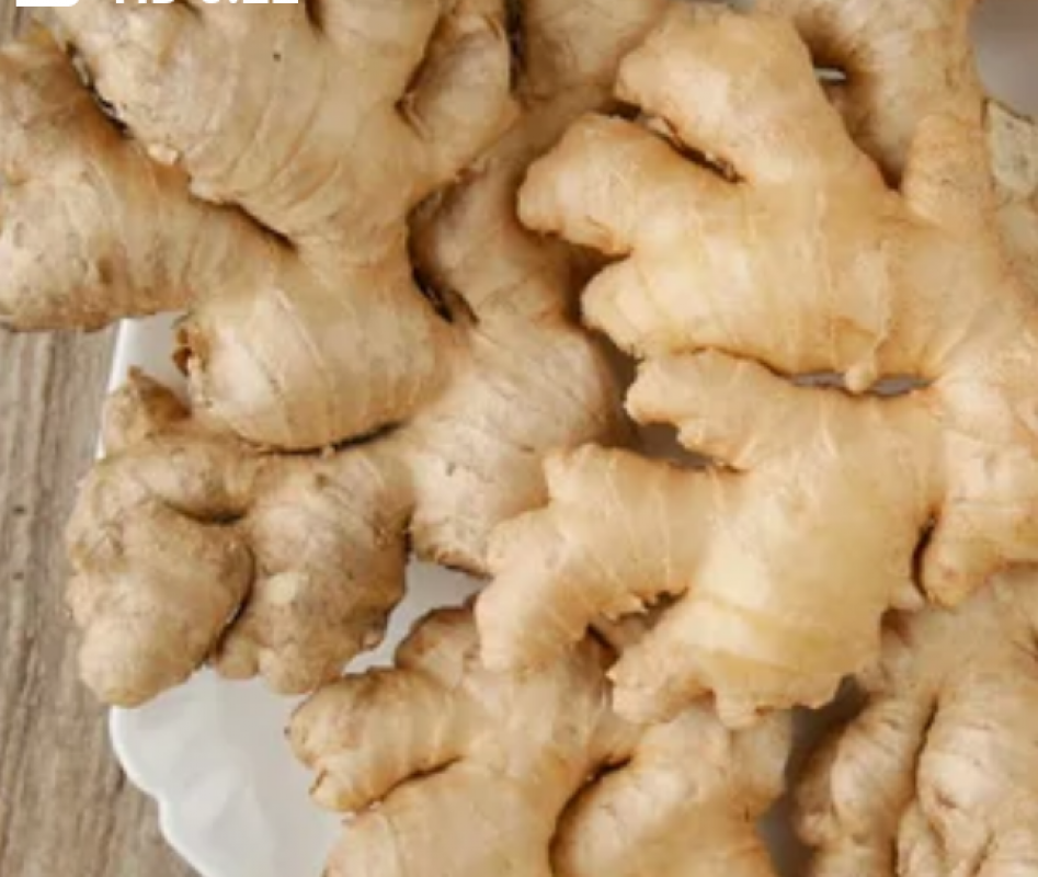 Fresh Ginger 100% Organic from Ghana